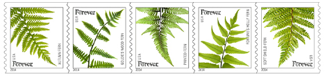 USPS Stamp Artist Cindy Dyer - Fern Stamp Strip