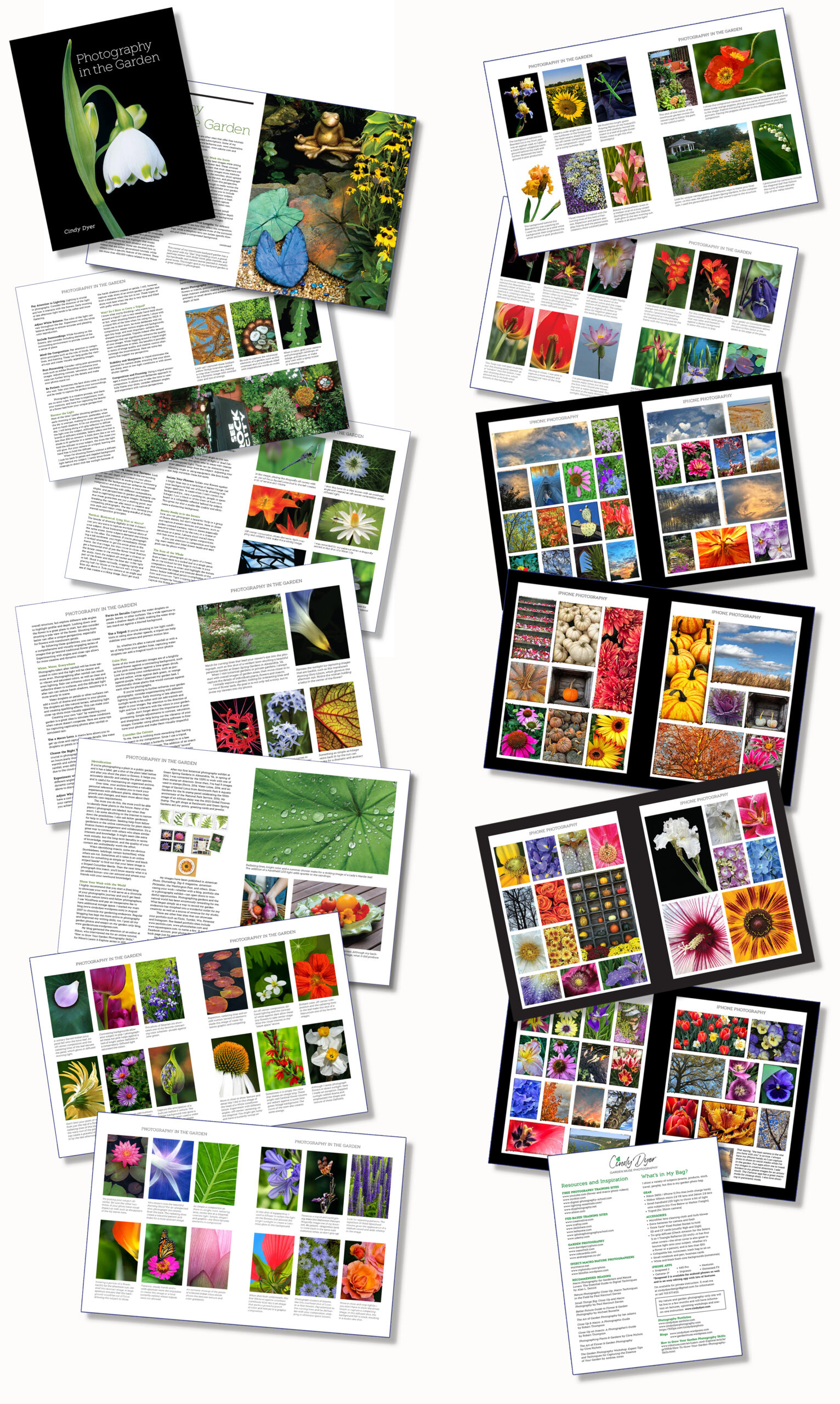 Photography in the Garden Magazine Collage